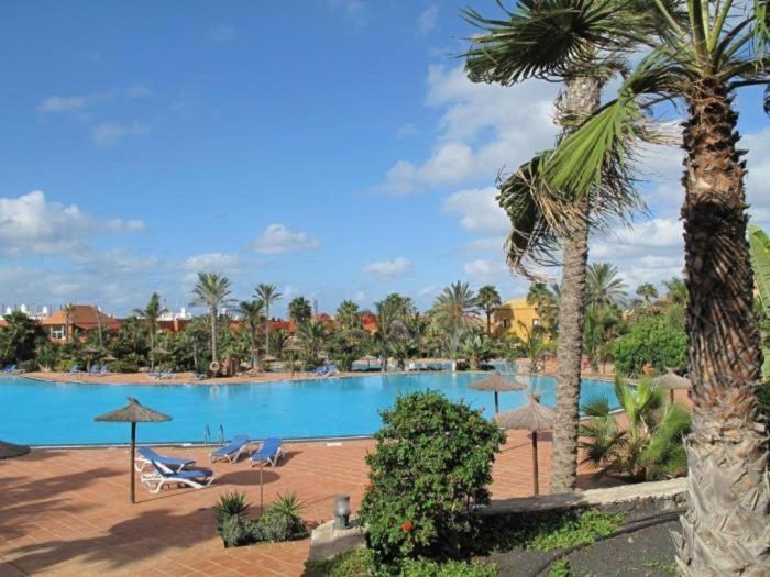 Oasis Tamarindo By Best Holidays Fuerteventura Corralejo Zewnętrze zdjęcie