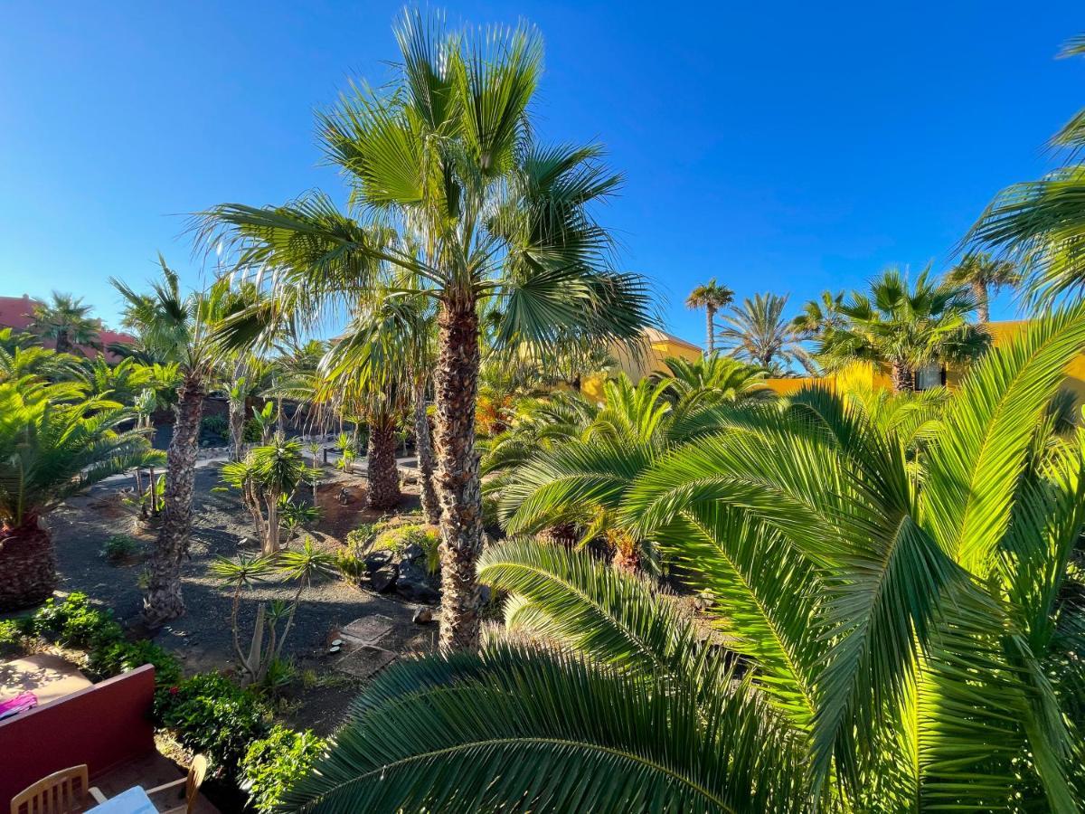 Oasis Tamarindo By Best Holidays Fuerteventura Corralejo Zewnętrze zdjęcie