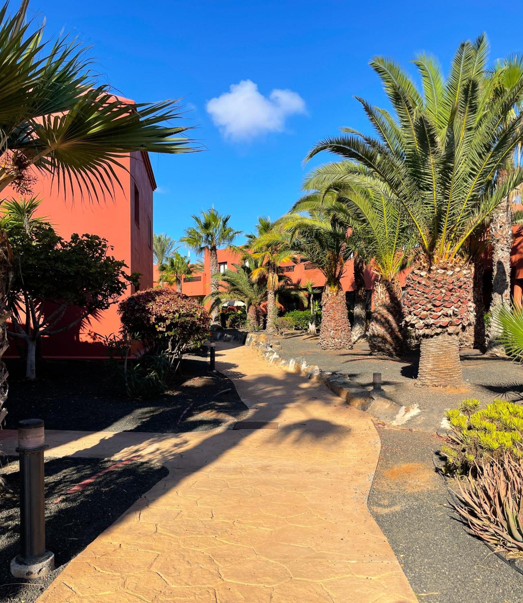 Oasis Tamarindo By Best Holidays Fuerteventura Corralejo Zewnętrze zdjęcie