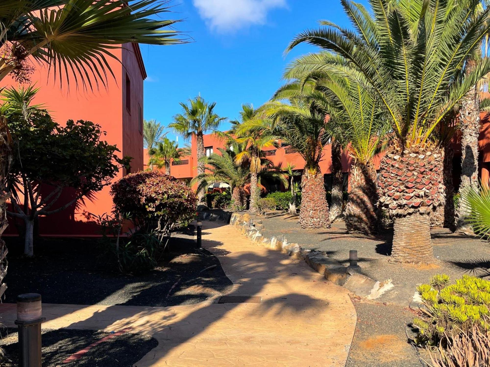 Oasis Tamarindo By Best Holidays Fuerteventura Corralejo Pokój zdjęcie